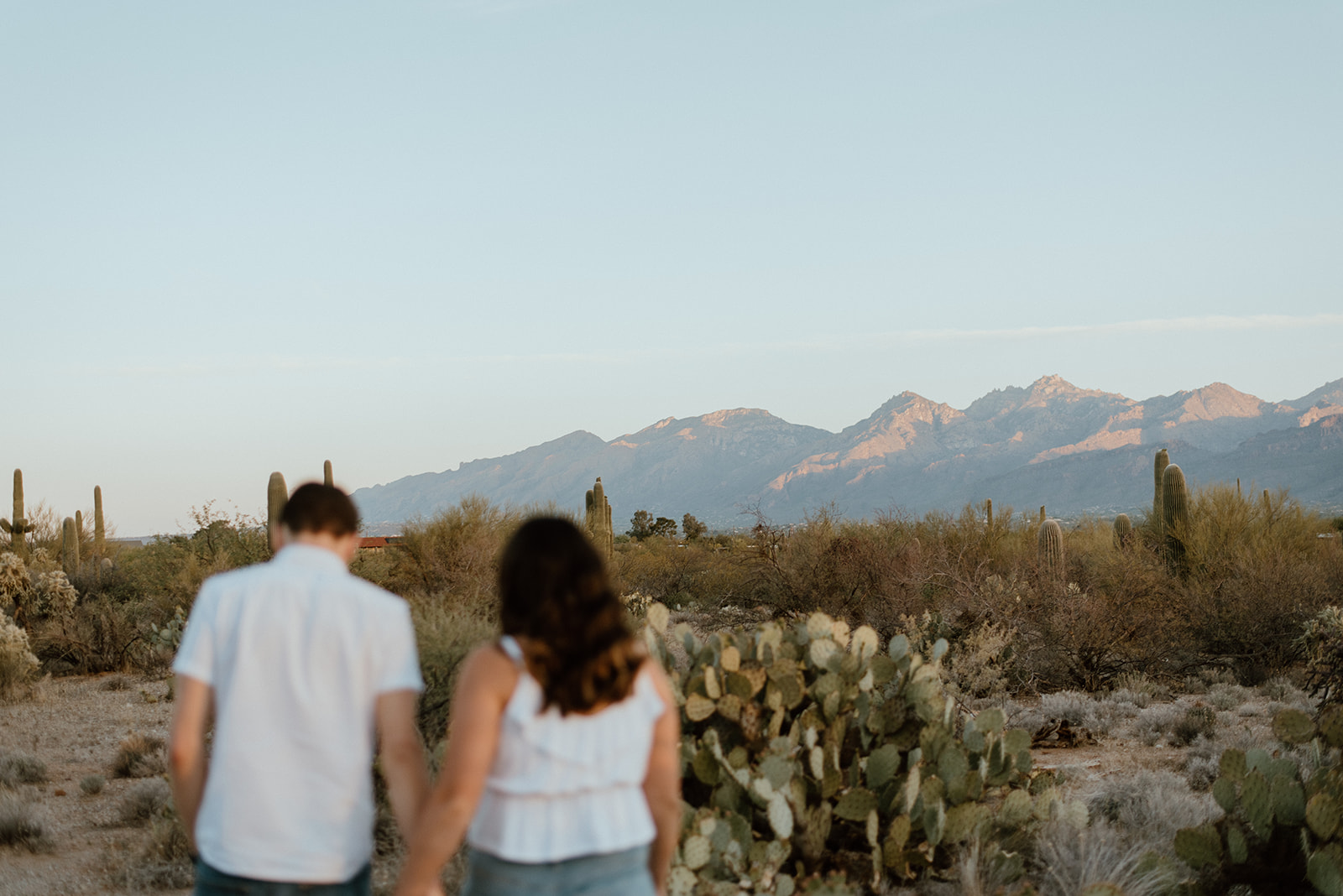 Couple walks holding hands at Tucson, Arizona content day