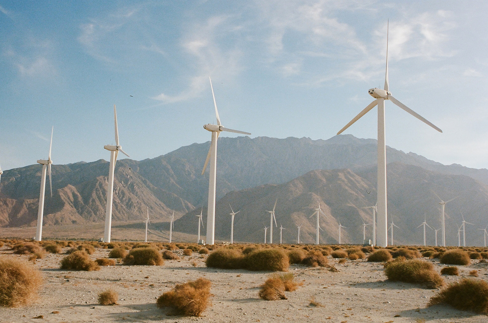 Palm Springs windmills taken by film camera