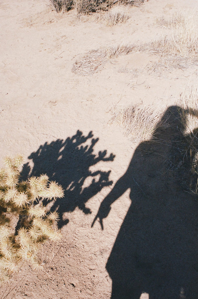 A photographer's shadow in the dessert next to a Joshua tree as she compares film photography vs digital