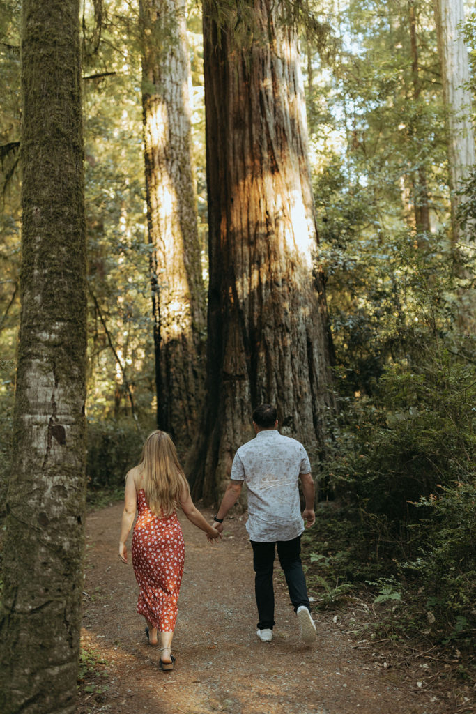 couple walks through redwoods at California sunset engagement session