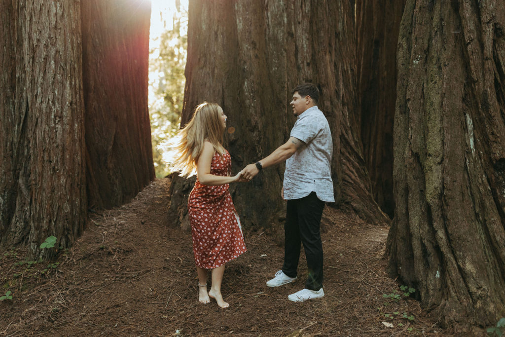 couple twirls at sunset redwoods engagement session
