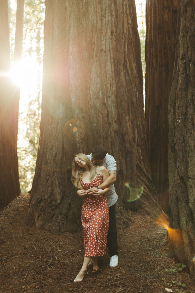 couple embraces at sunset redwoods engagement session