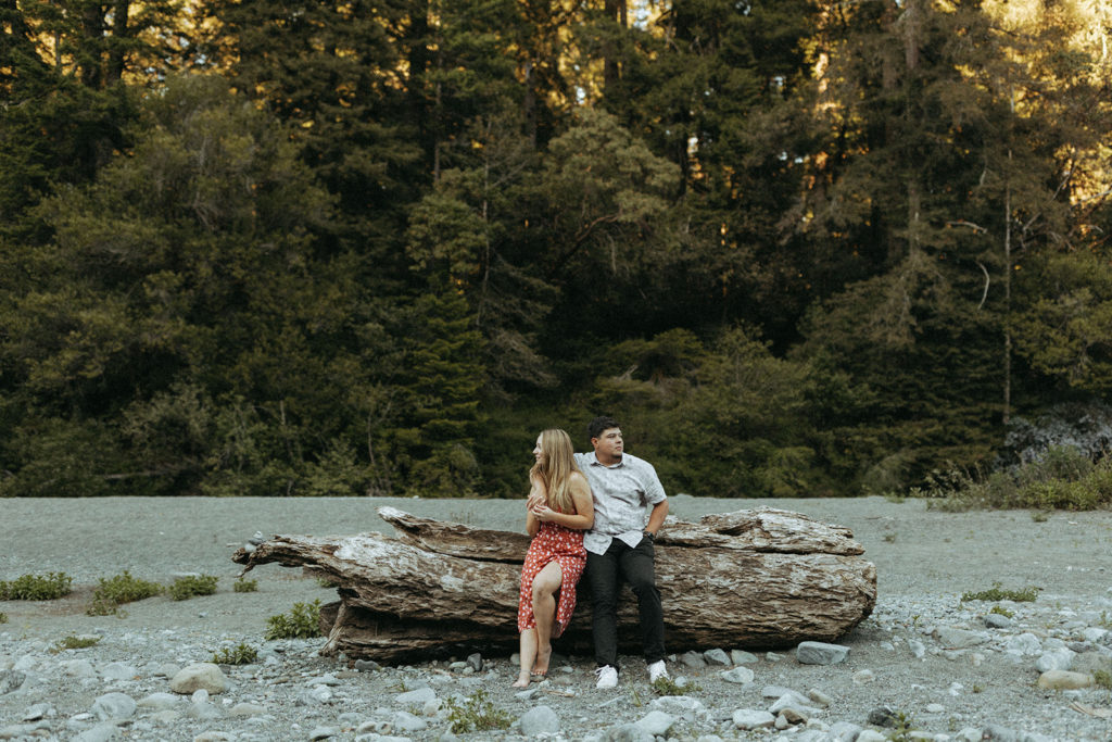 couple sits on log at Redwoods state park engagement photo session