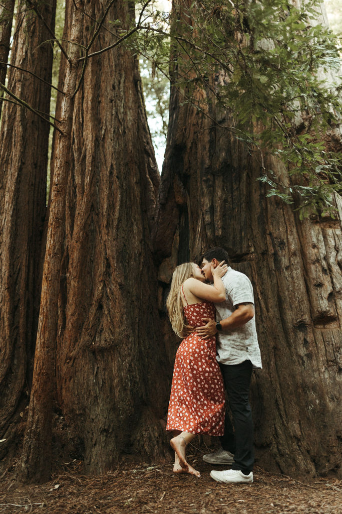 couple kisses beside redwoods at sunset engagement session