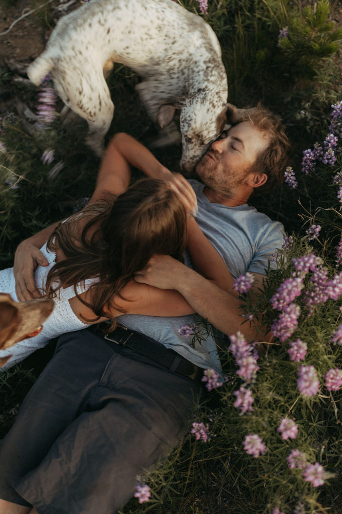 dogs kiss couple lying down in flower field at engagement session