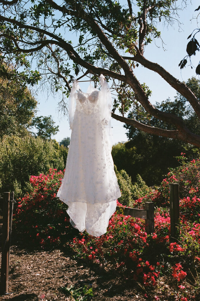 wedding dress hangs on tree as part of wedding film photography project