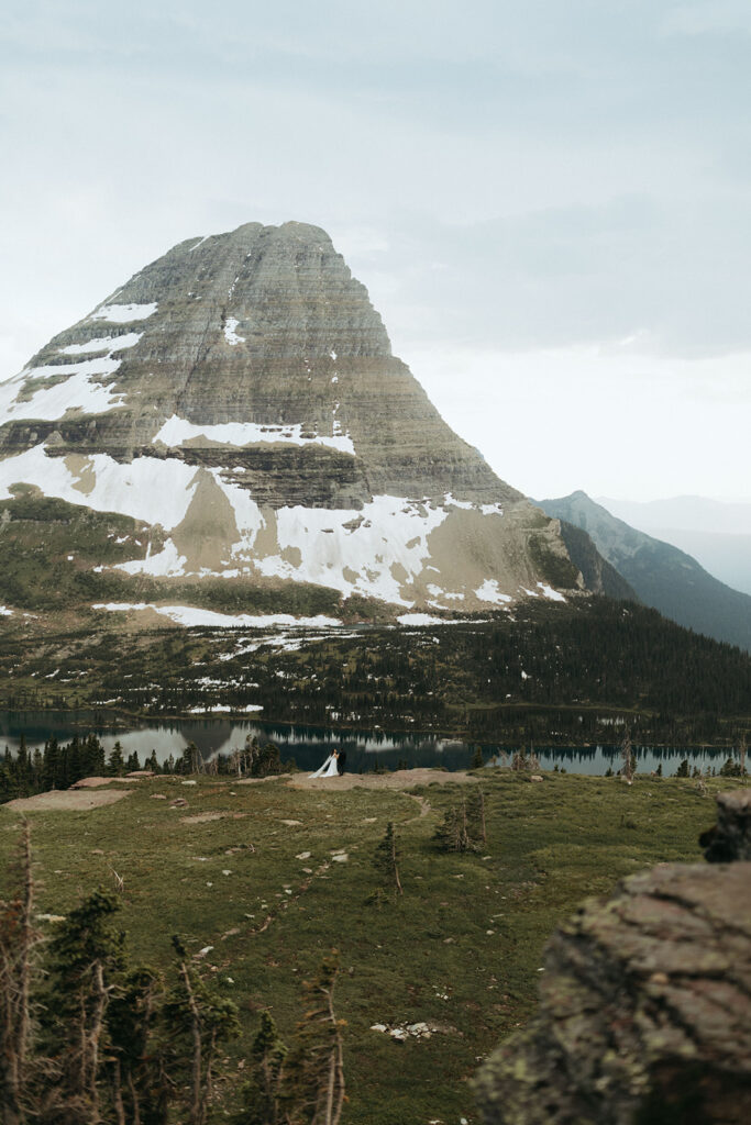 snow-covered mountain over grassy field at glacier national park