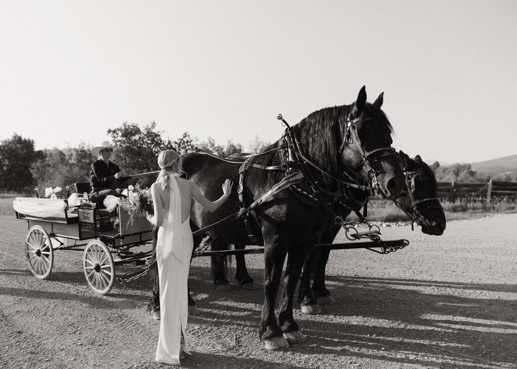 bride pets horse at montana intimate wedding